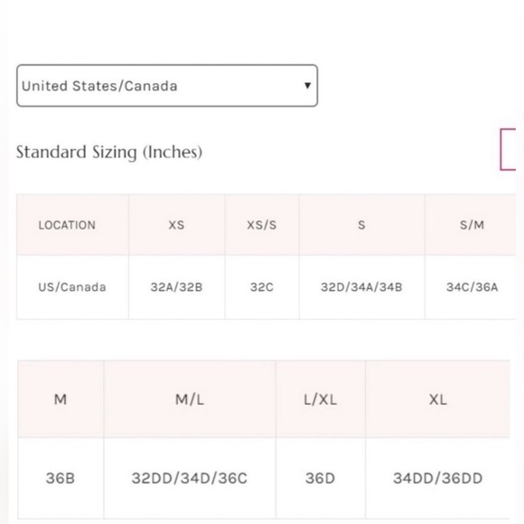 FREE PEOPLE Skinny Strap Brami in color Tonic - Picture 5 of 11